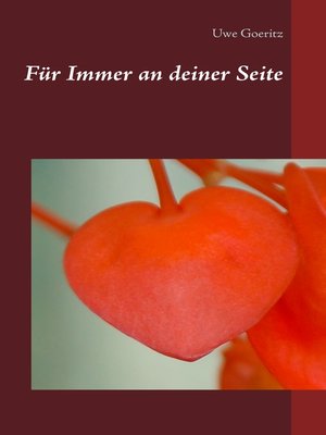 cover image of Für Immer an deiner Seite